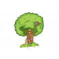 Каштан - Дерево с совой